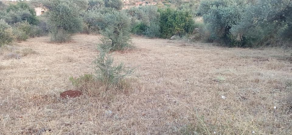 قطعة أرض للبيع تصلح للبناء أو الاستثمار أو الزراعة