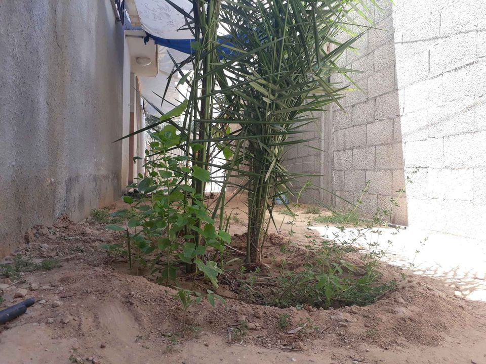 بيت للبيع أو البدل  جنوب مفترق أبو صرار