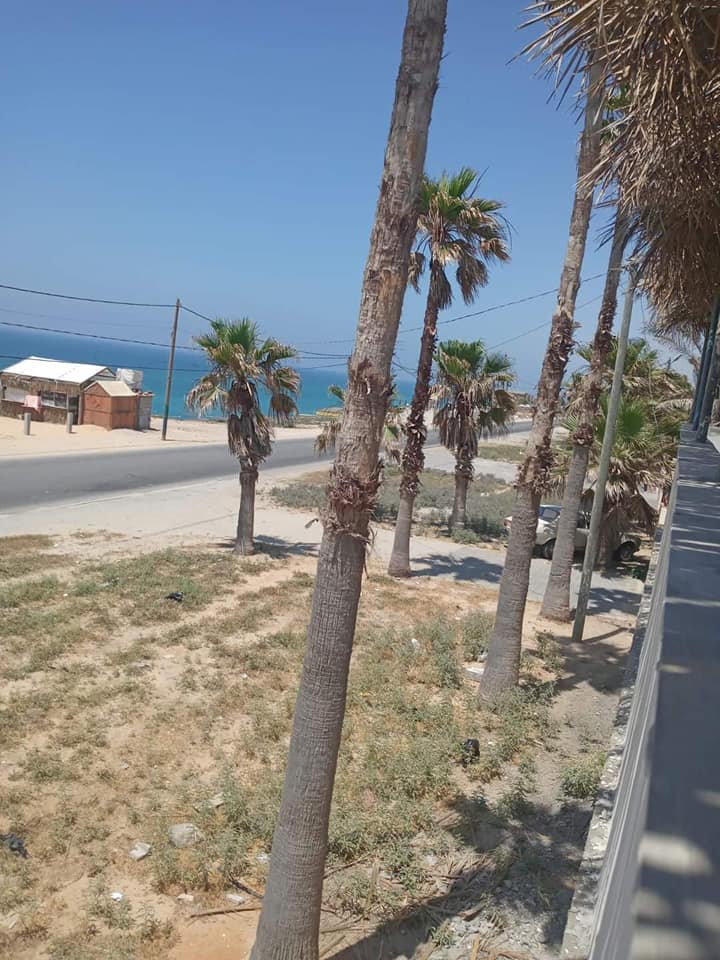 شاليه بدون مسبح يطل علي شارع الرشيد