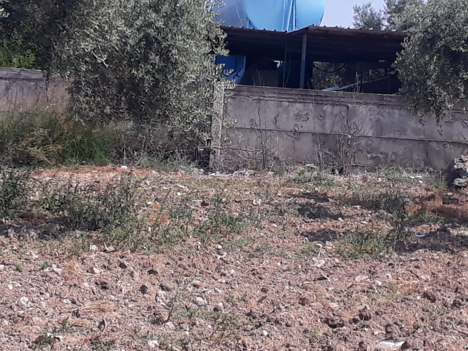جنين عرابة شارع كفيرت الرئيسي خلف حاوز المياه