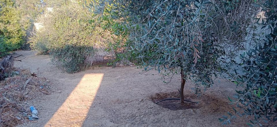 قطعة أرض طابو في موقع مميز 