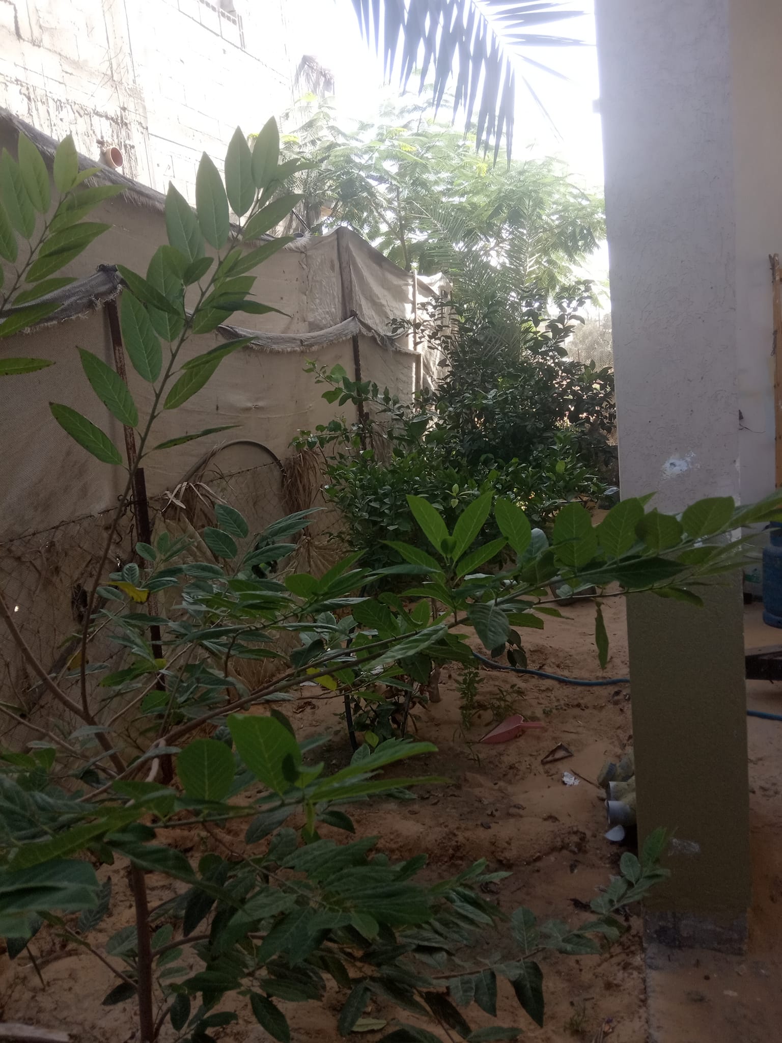 منزل حديث البناء للبيع 
