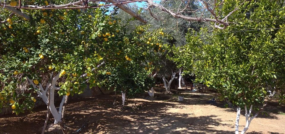 قطعة أرض للبيع بالقرب من مسجد الحسنات