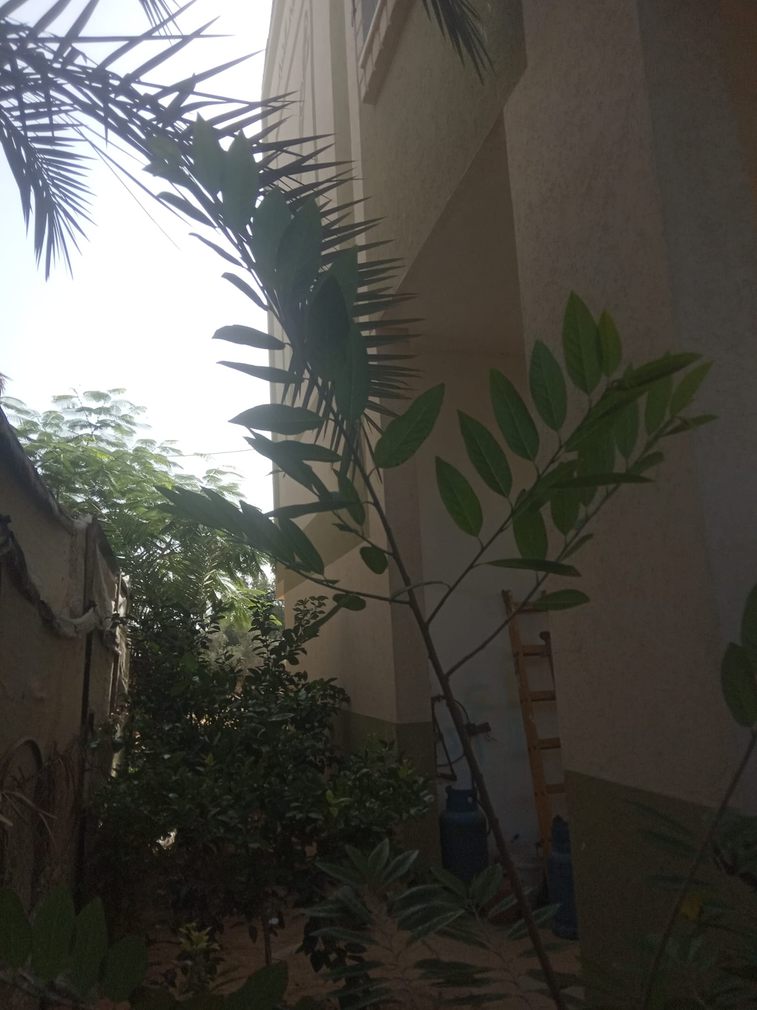 منزل حديث البناء للبيع 