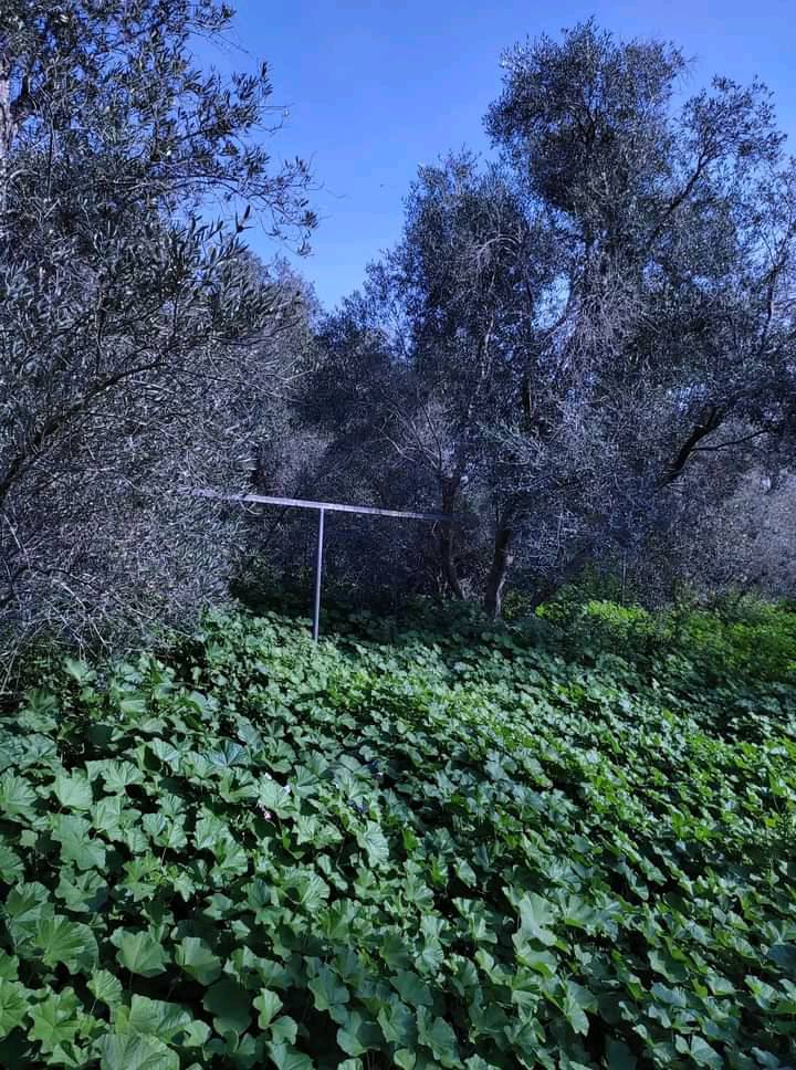 قطعة أرض للبيع