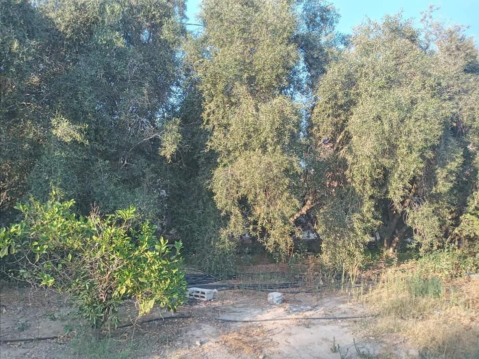 قطعة أرض للبيع