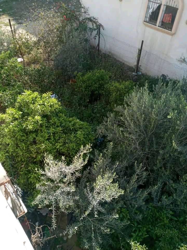 منزل فاخر للبيع بالقرب من صاله الامارات