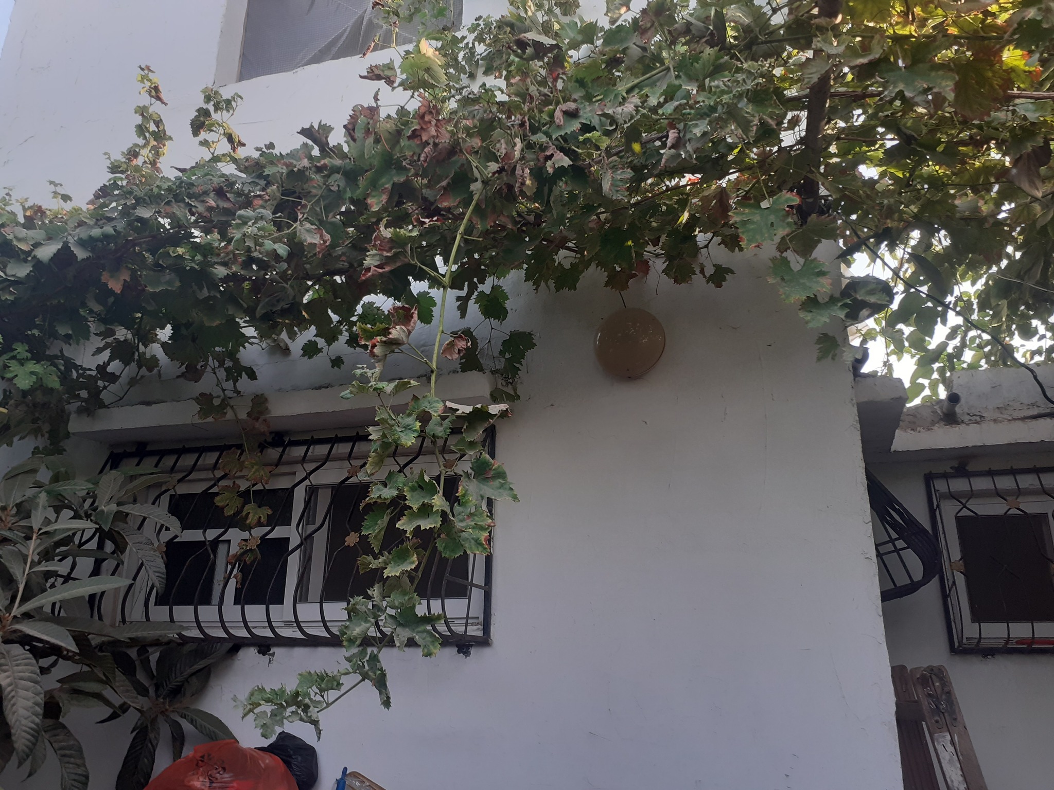 أرض مع دار للبيع بجوار أبراج الندى 