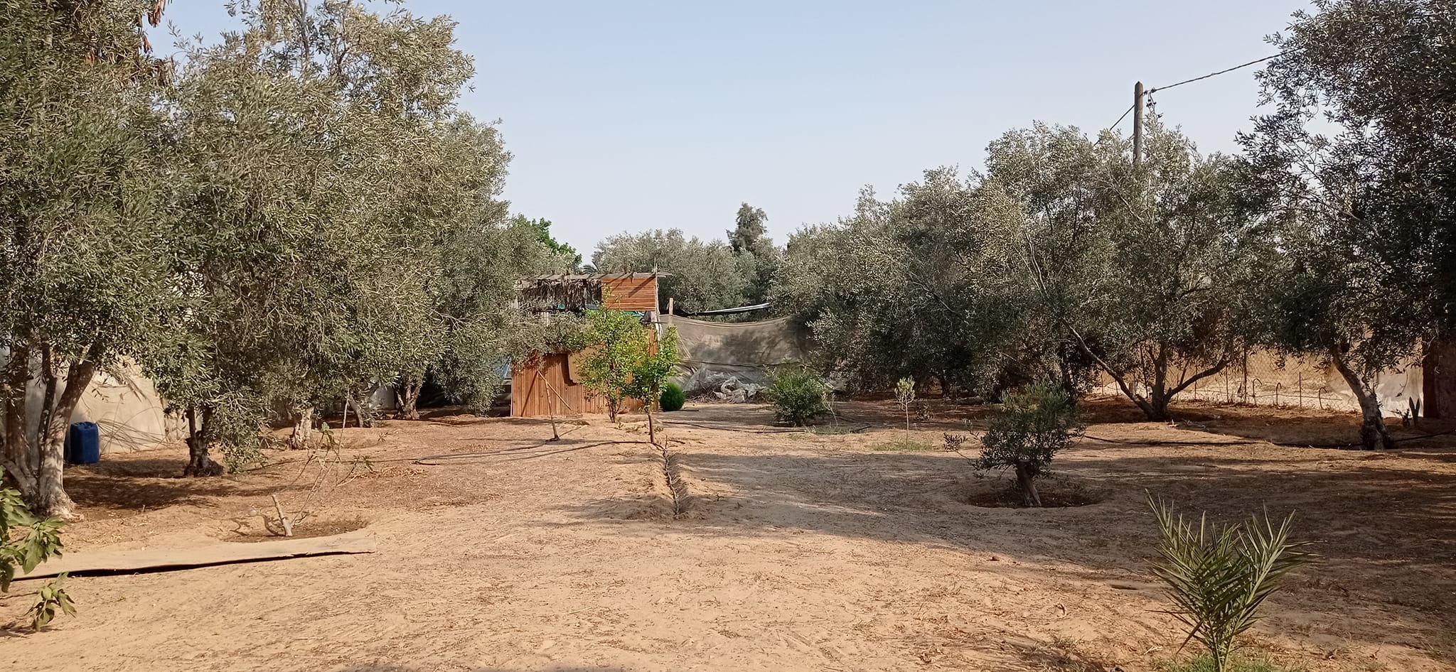 قطعة أرض للبيع
