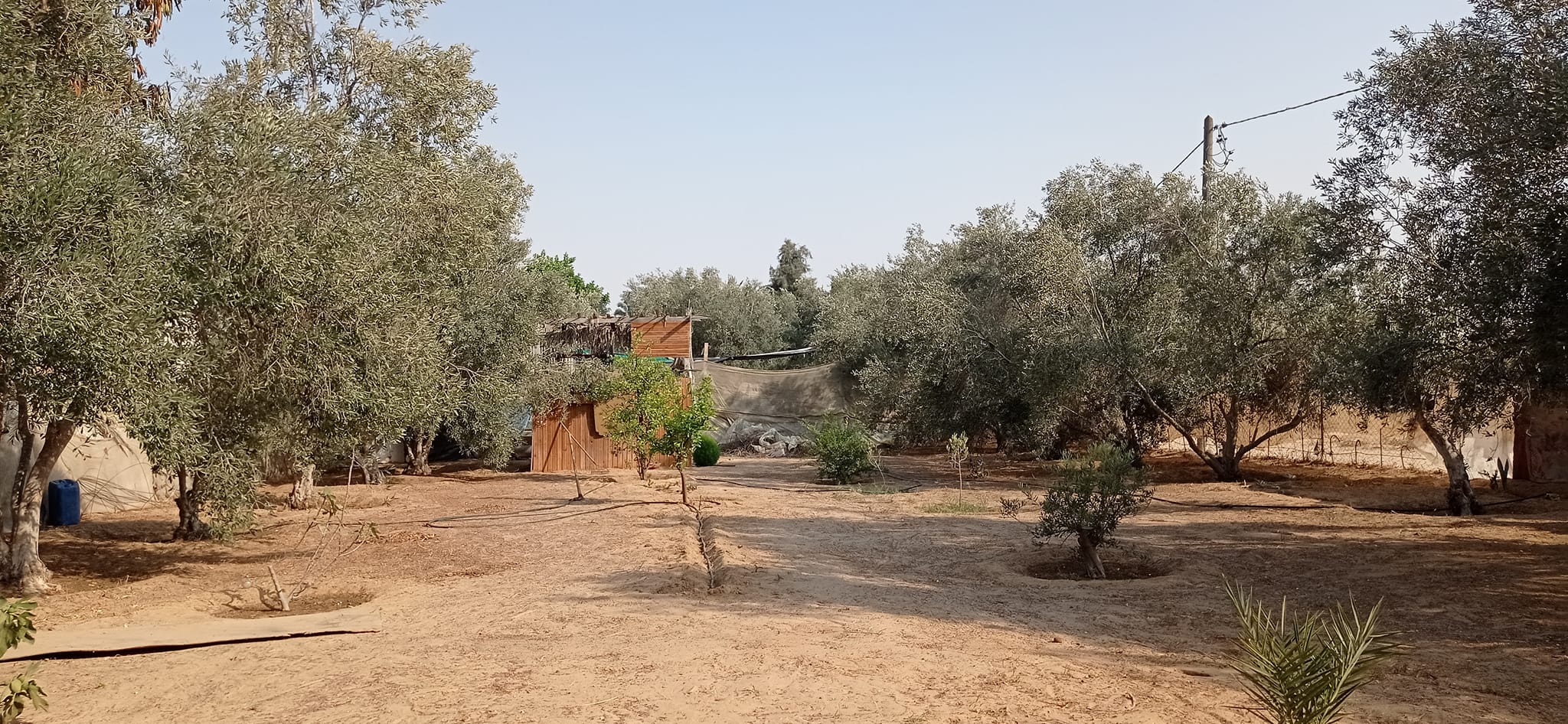 قطعة أرض للبيع