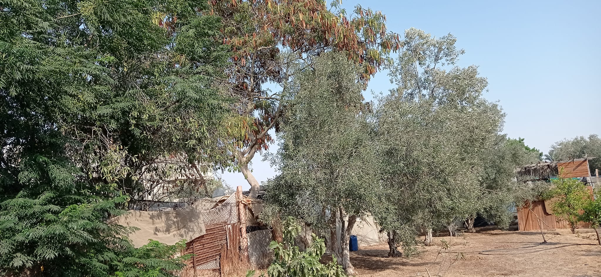 قطعة أرض للبيع