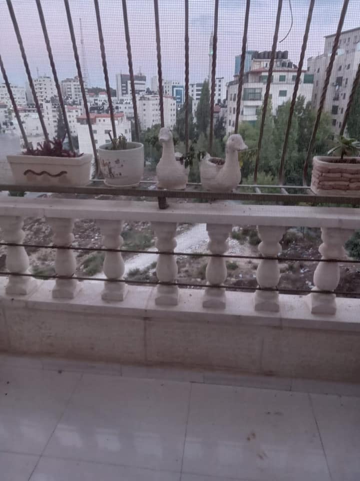 روف للبيع في المصايف