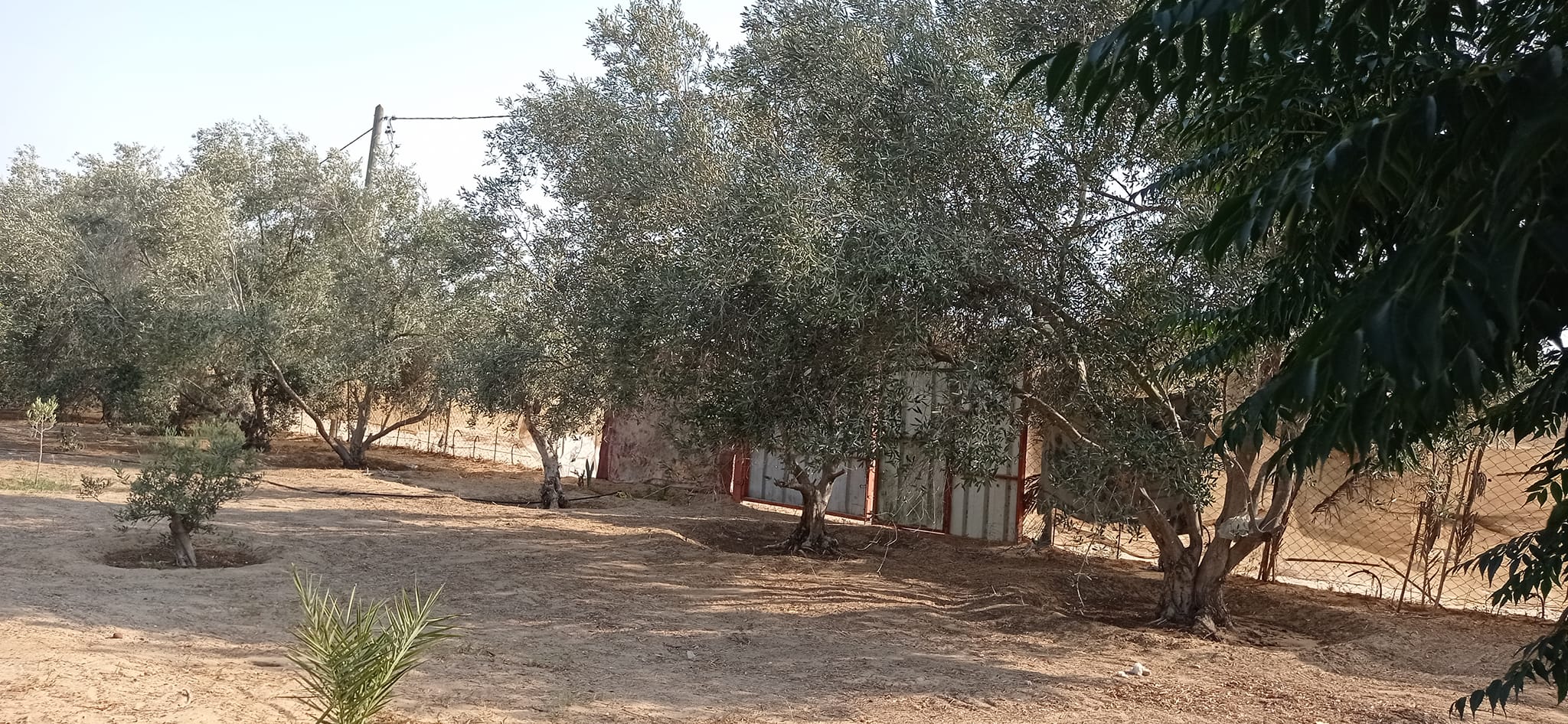 قطعة أرض للبيع