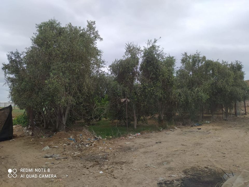 قطعة  أرض للبيع 