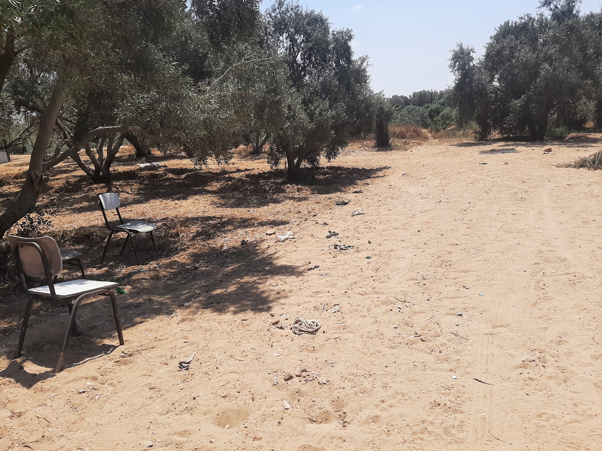  قطعة أرض مميزة للبيع 