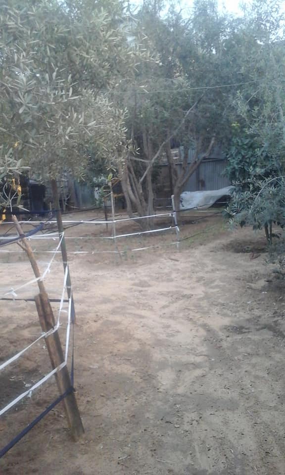 قطعة أرض للبيع خلف مسجد الفردوس