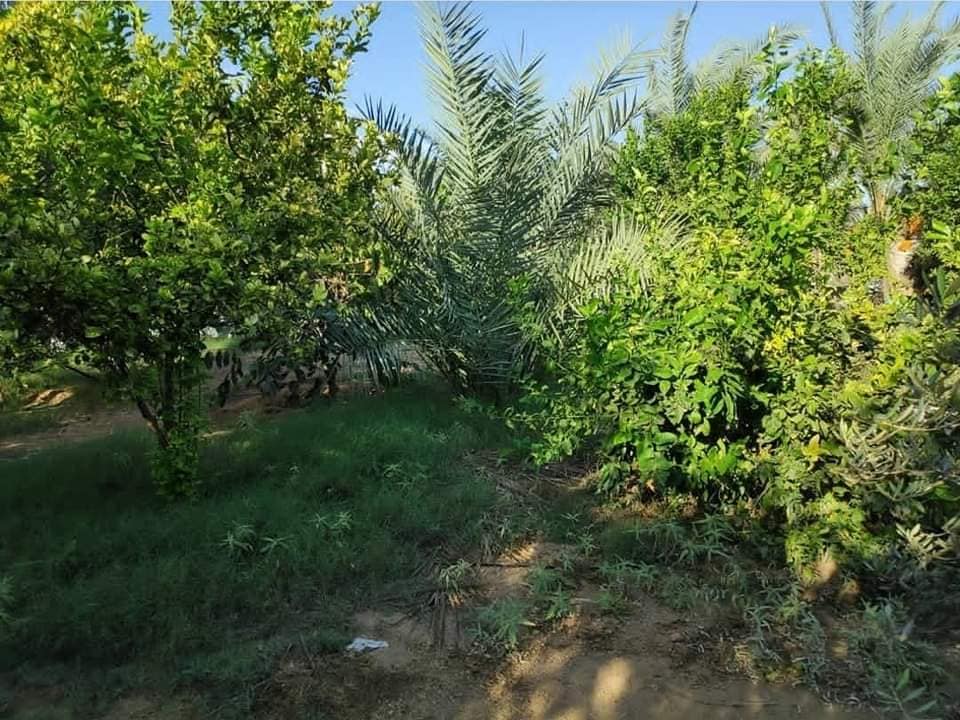 قطعة أرض للبيع أو البدل