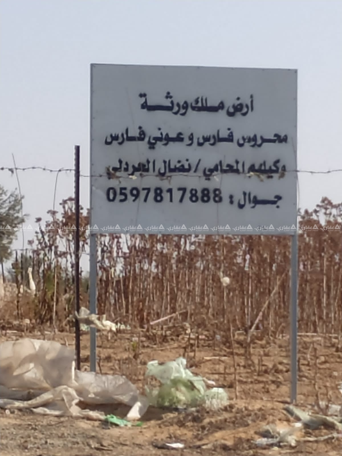 خانيونس/ القرارة/ ارض محروس فارس