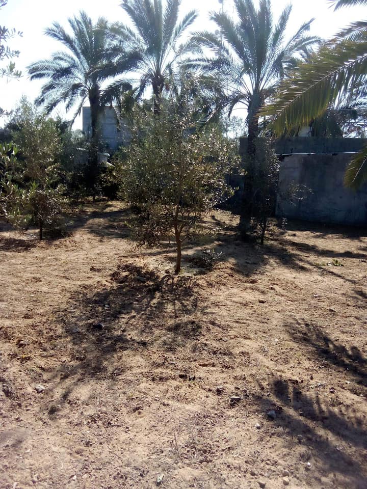 قطعه أرض للبيع