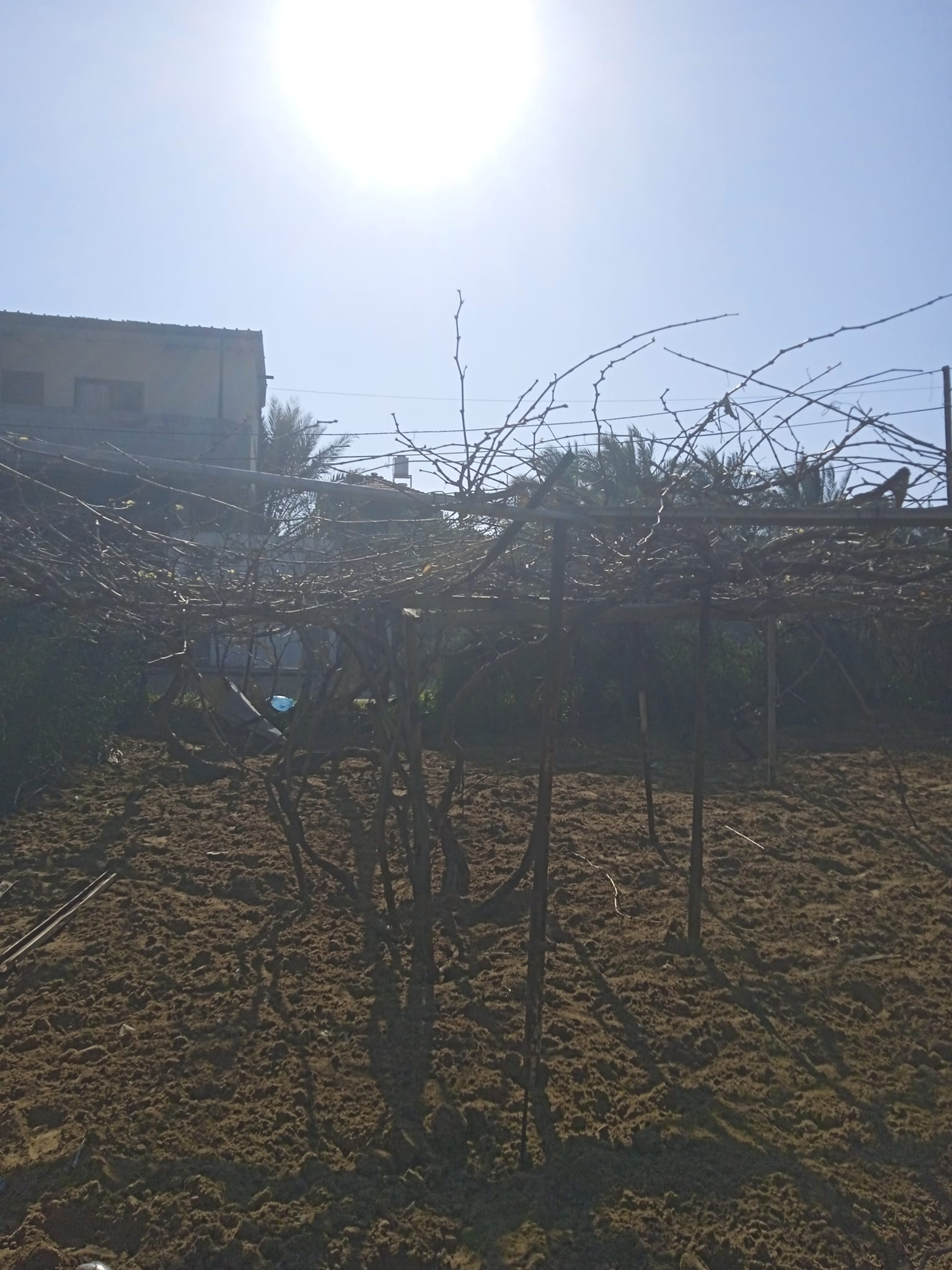 قطعة أرض للبيع 