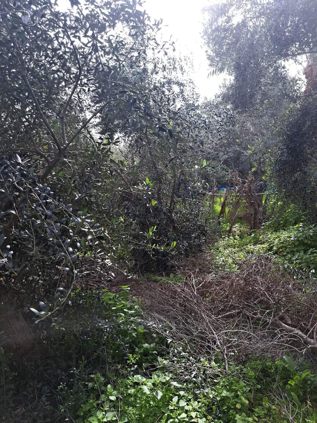قطعة أرض في موقع ممتازه جدا