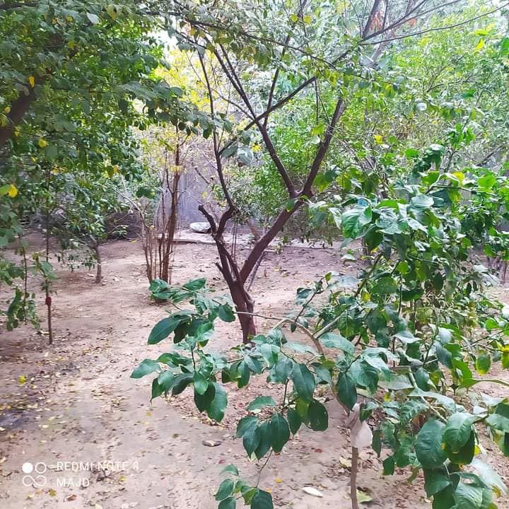 بيت للبيع بالقرب من شركة الكهرباء القديمة