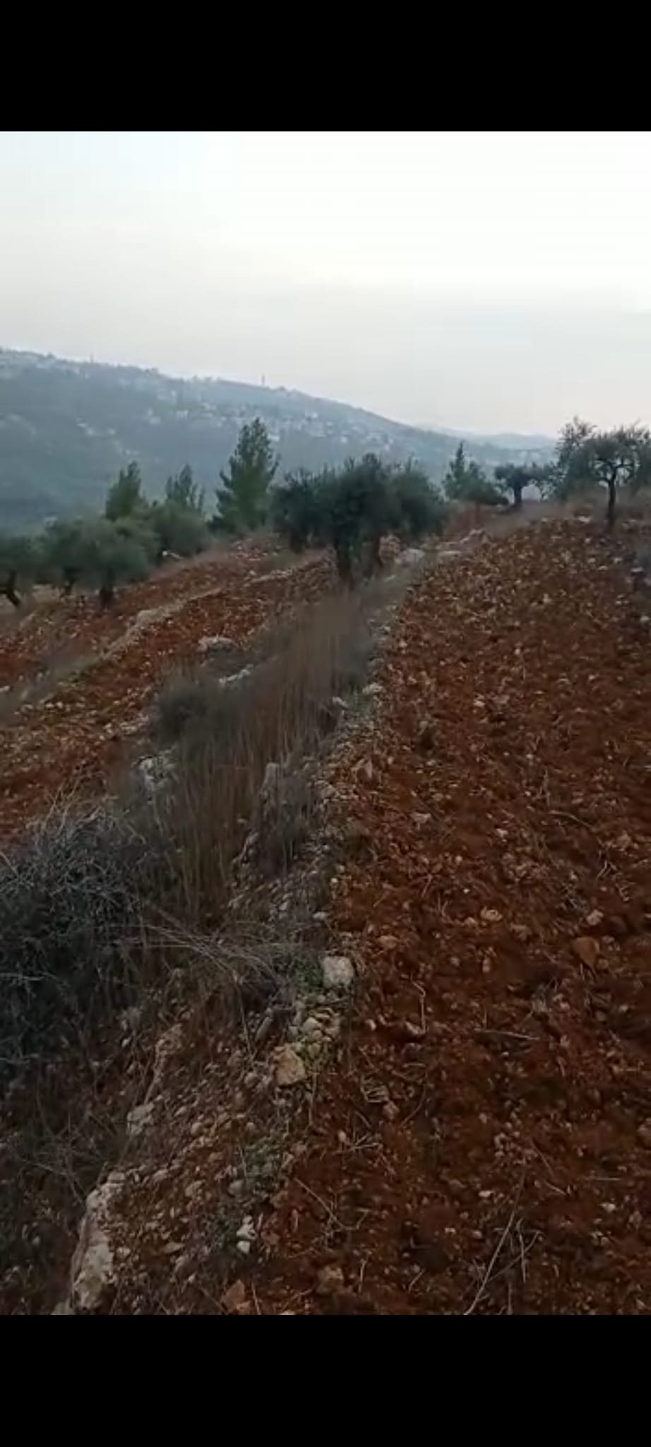 قطعة أرض للبيع