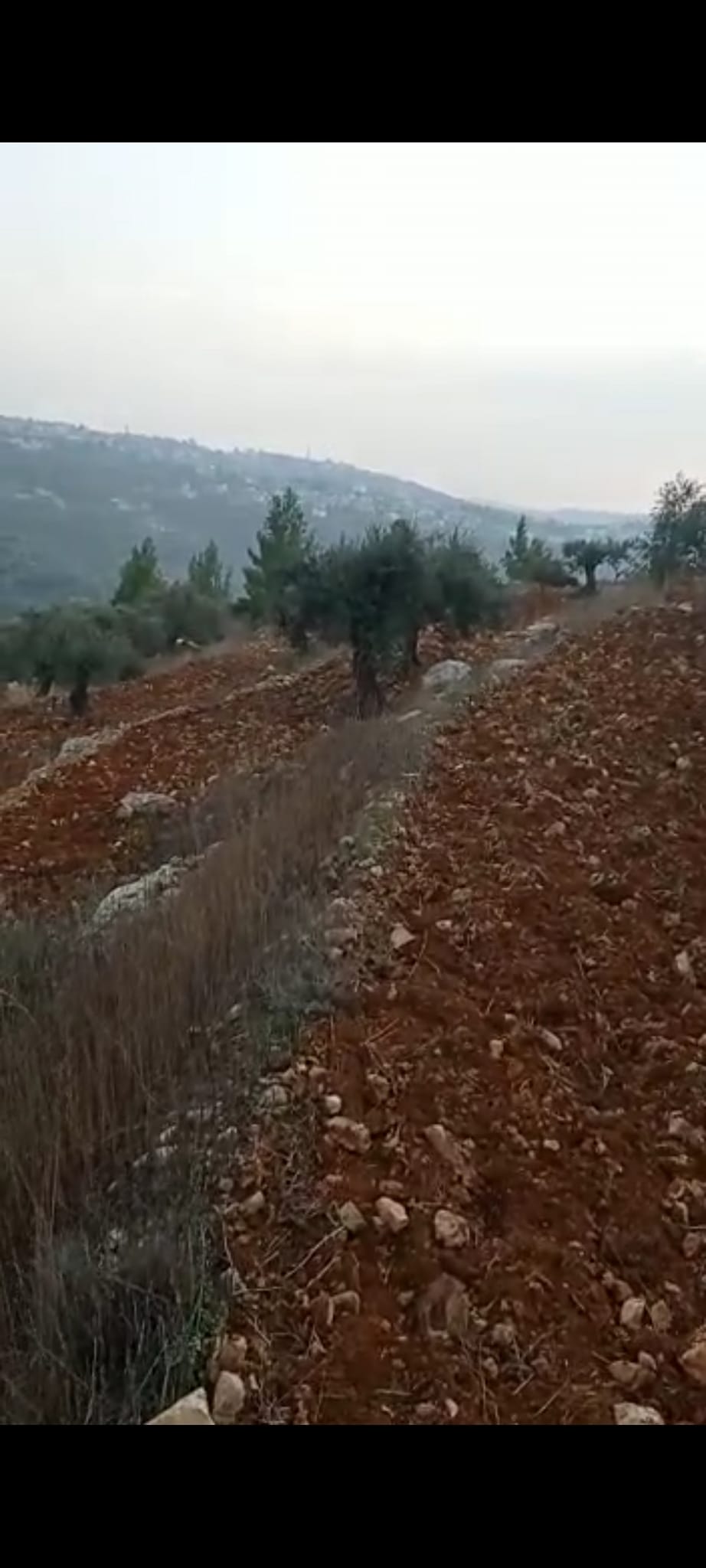 قطعة أرض للبيع