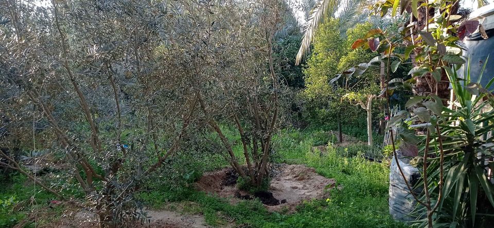 أرض طابو للبيع بالقرب من جمعية الوئام