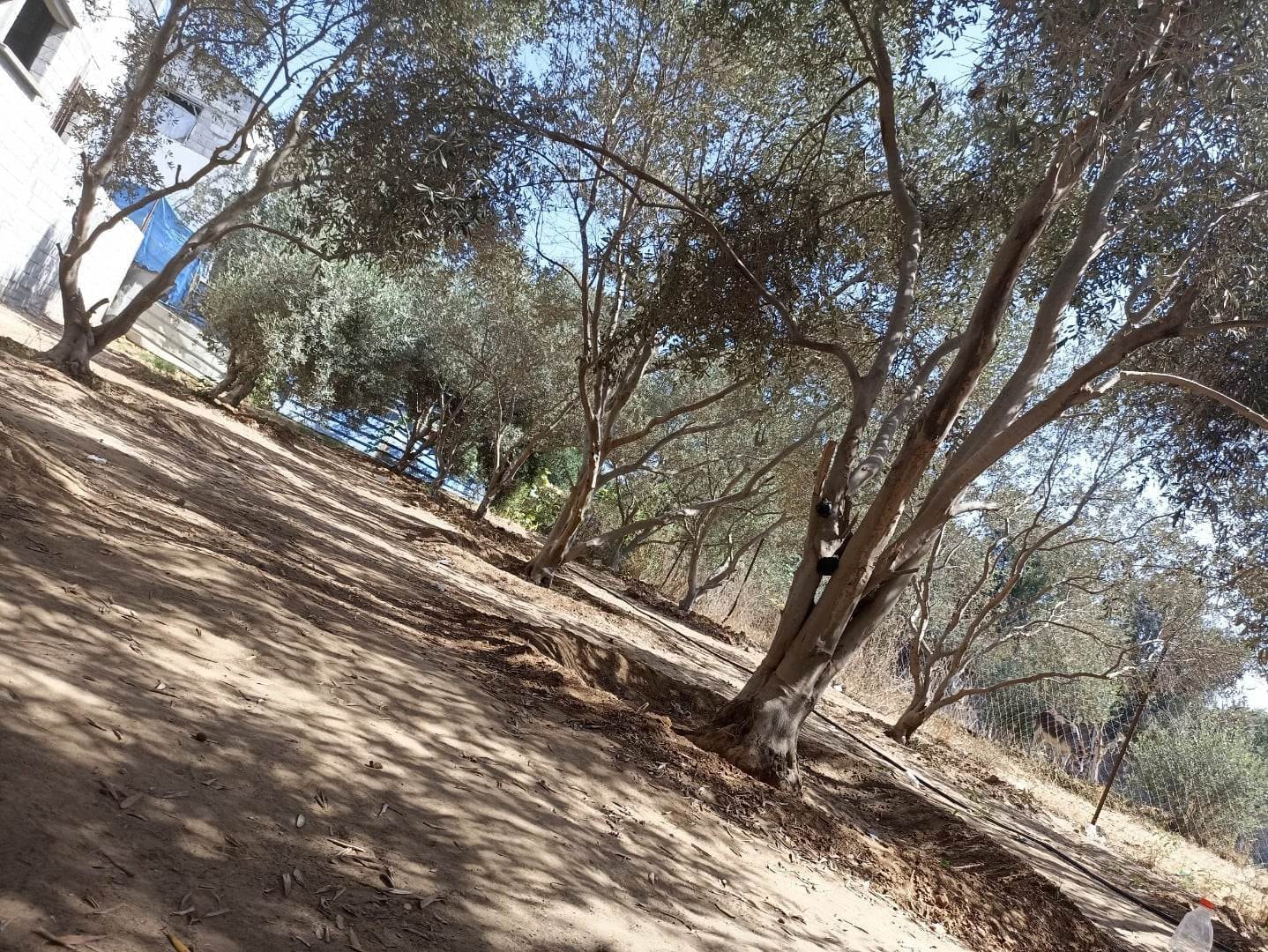 قطعة أرض بالقرب من دوار العمده