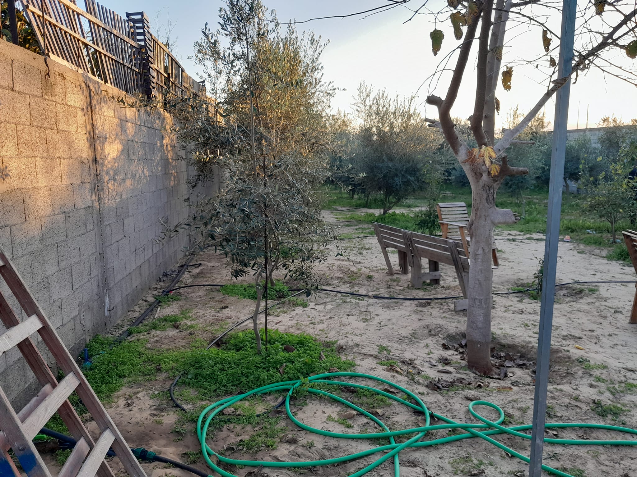 قطعة أرض للبيع