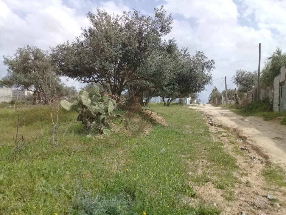 أرض طابو للبيع