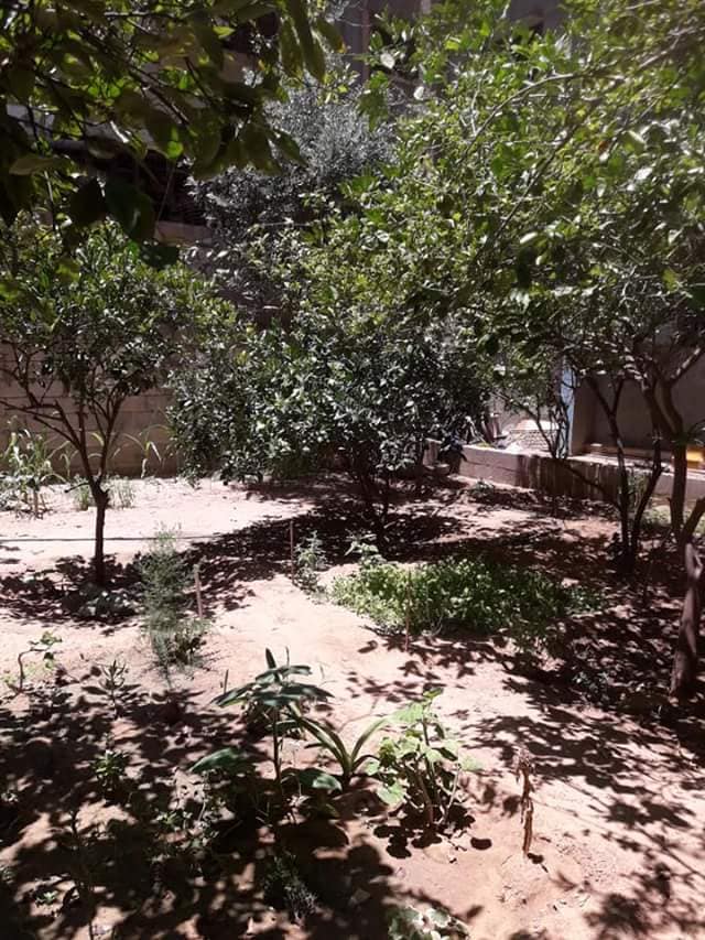 بيت للبيع.بجوار مسجد سعيد صيام 