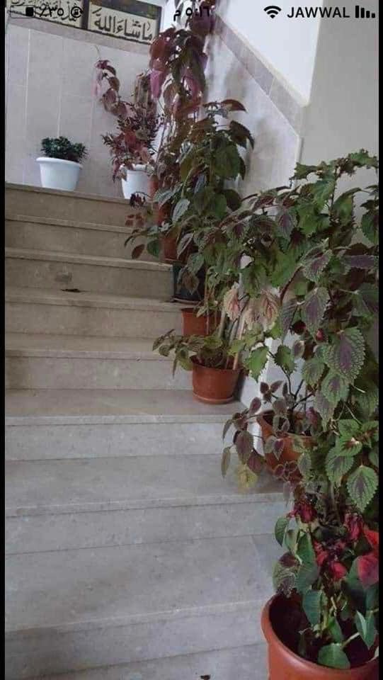 شاغر لبنت في غرفة ماستر مشتركة