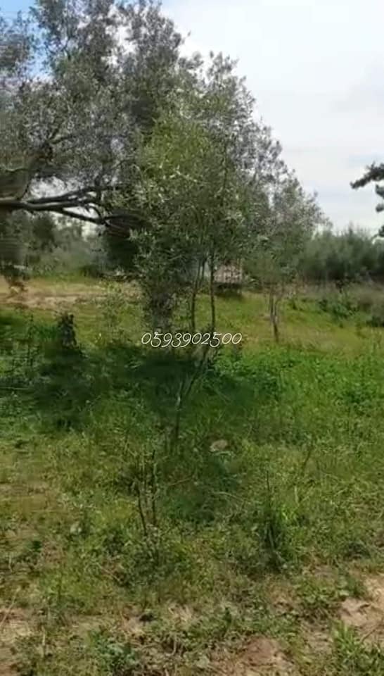 قطعة أرض للبيع