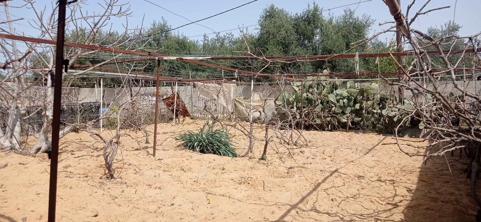 قطعة أرض طابو للبيع بجوار شاليه بغداد