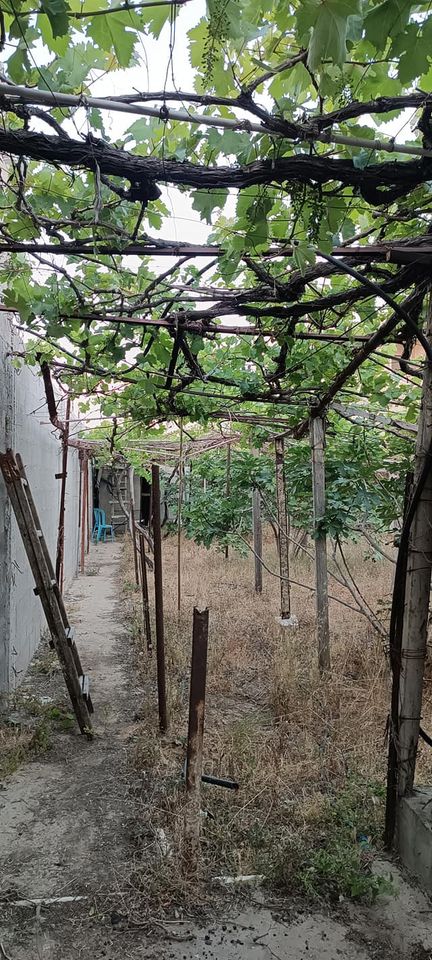 قطعة أرض للبيع بالقرب من كريزي ووتر