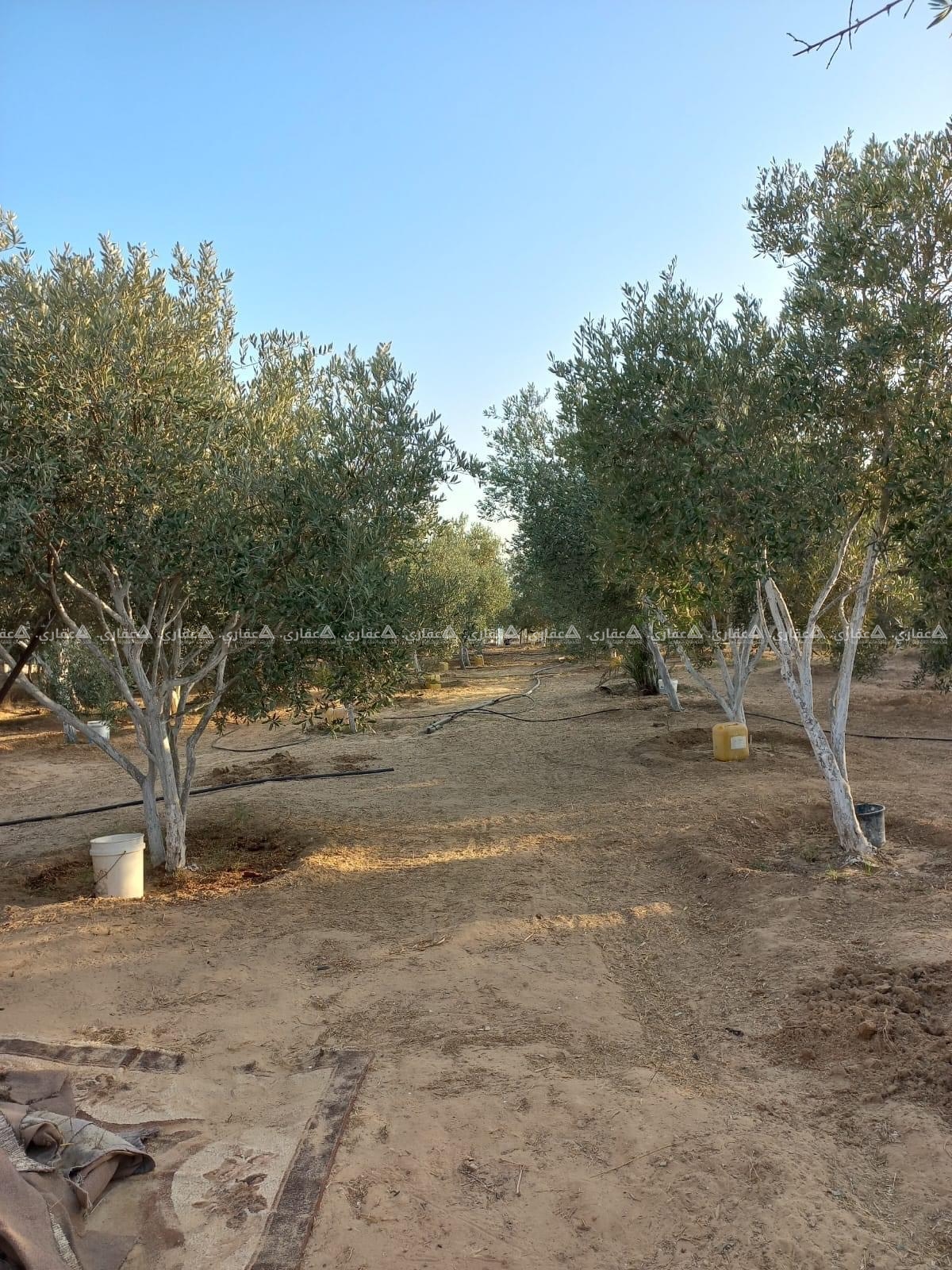 قطعة أرض بالقرب من ضبان للغاز