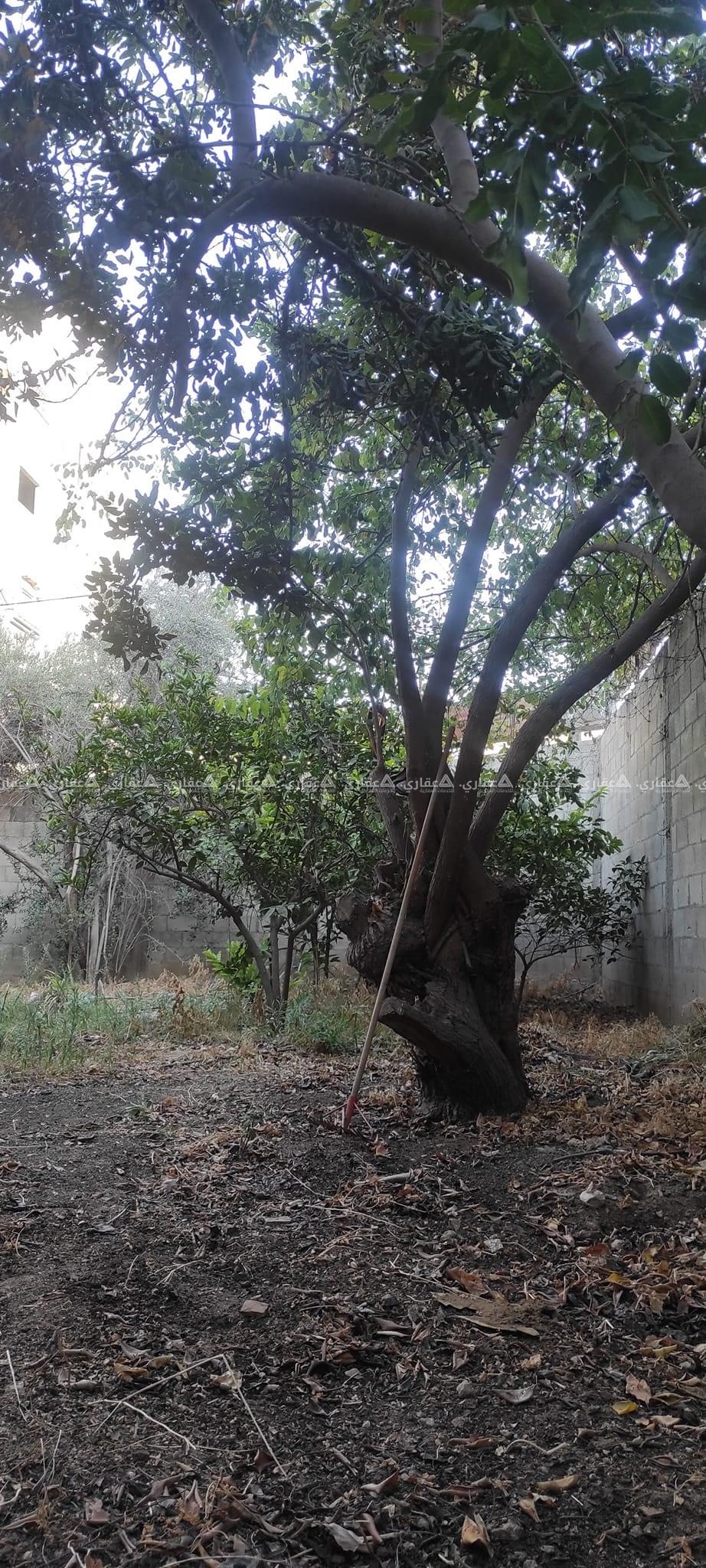 قطعة أرض بالقرب من مسجد أسماء بنت أبي بكر