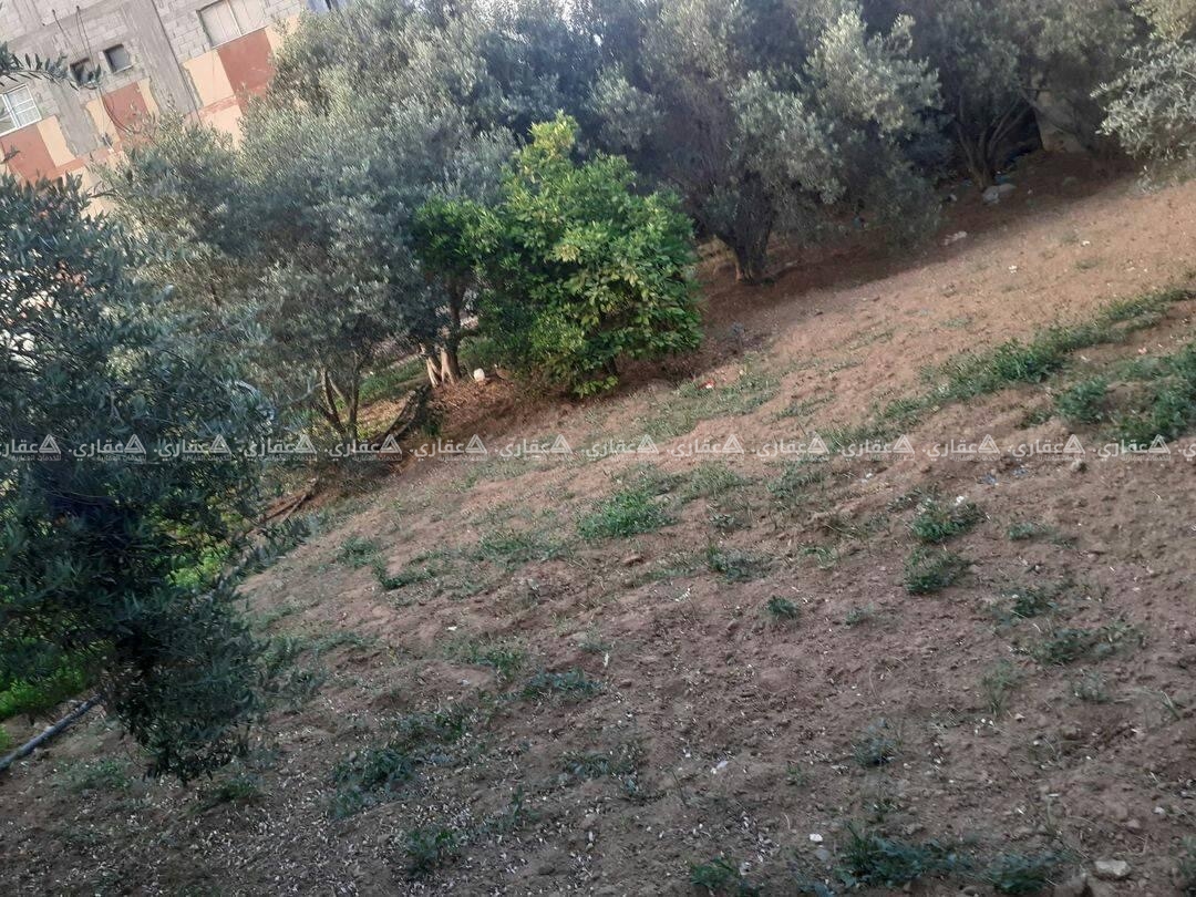 قطعة أرض مقابل طرمبه رجب للبترول
