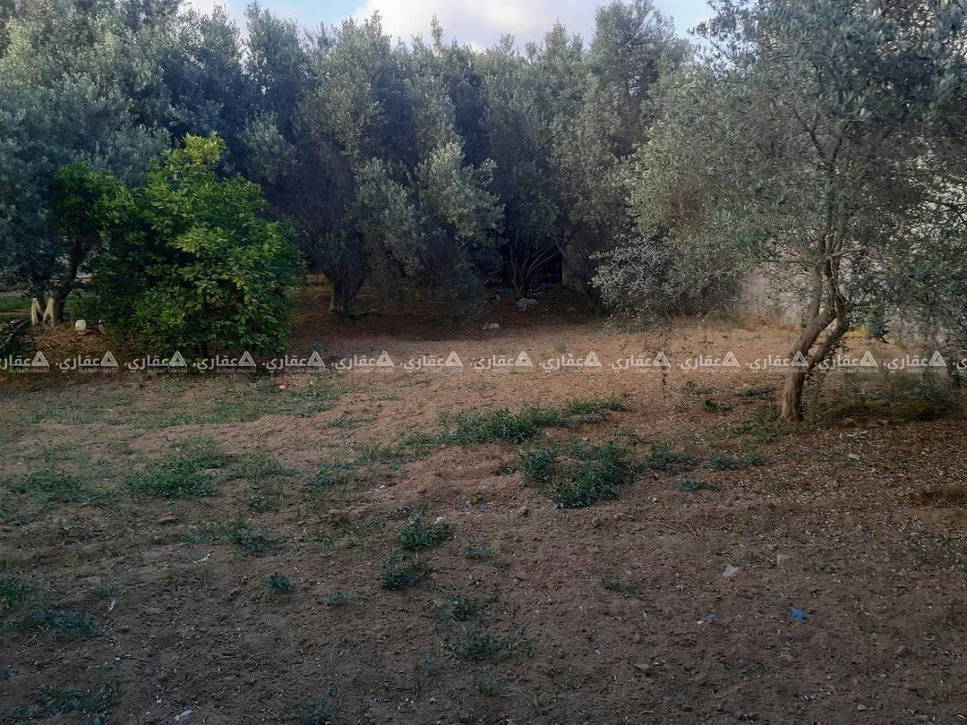 قطعة أرض مقابل طرمبه رجب للبترول
