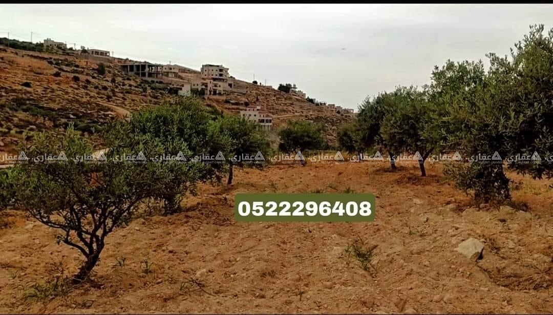 أرض للبيع على الشارع مباشرة