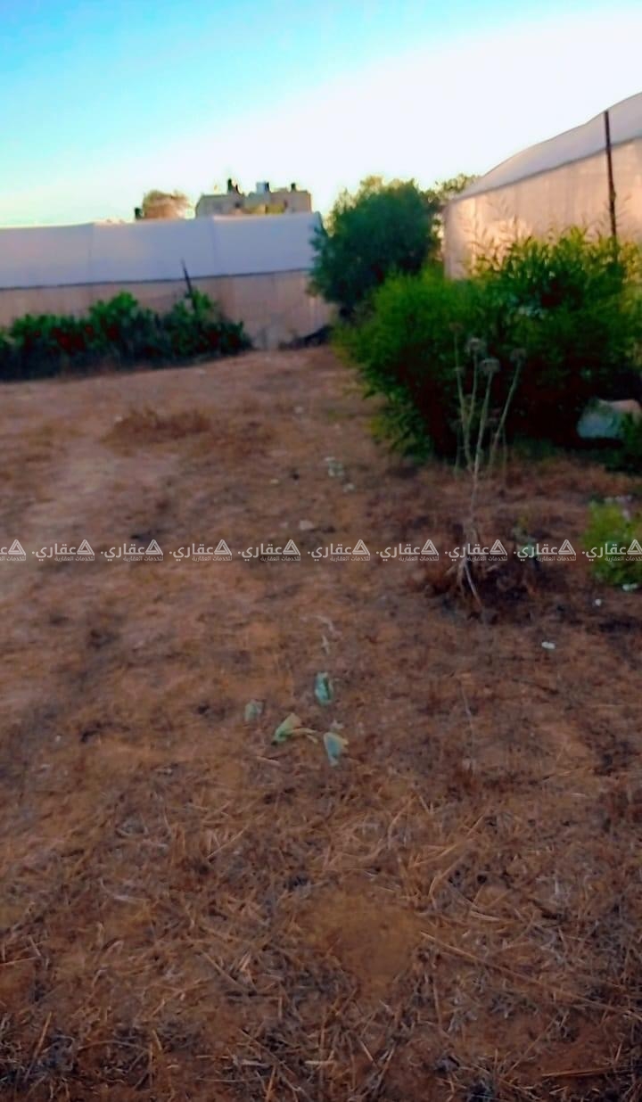 أرض طابو للبيع