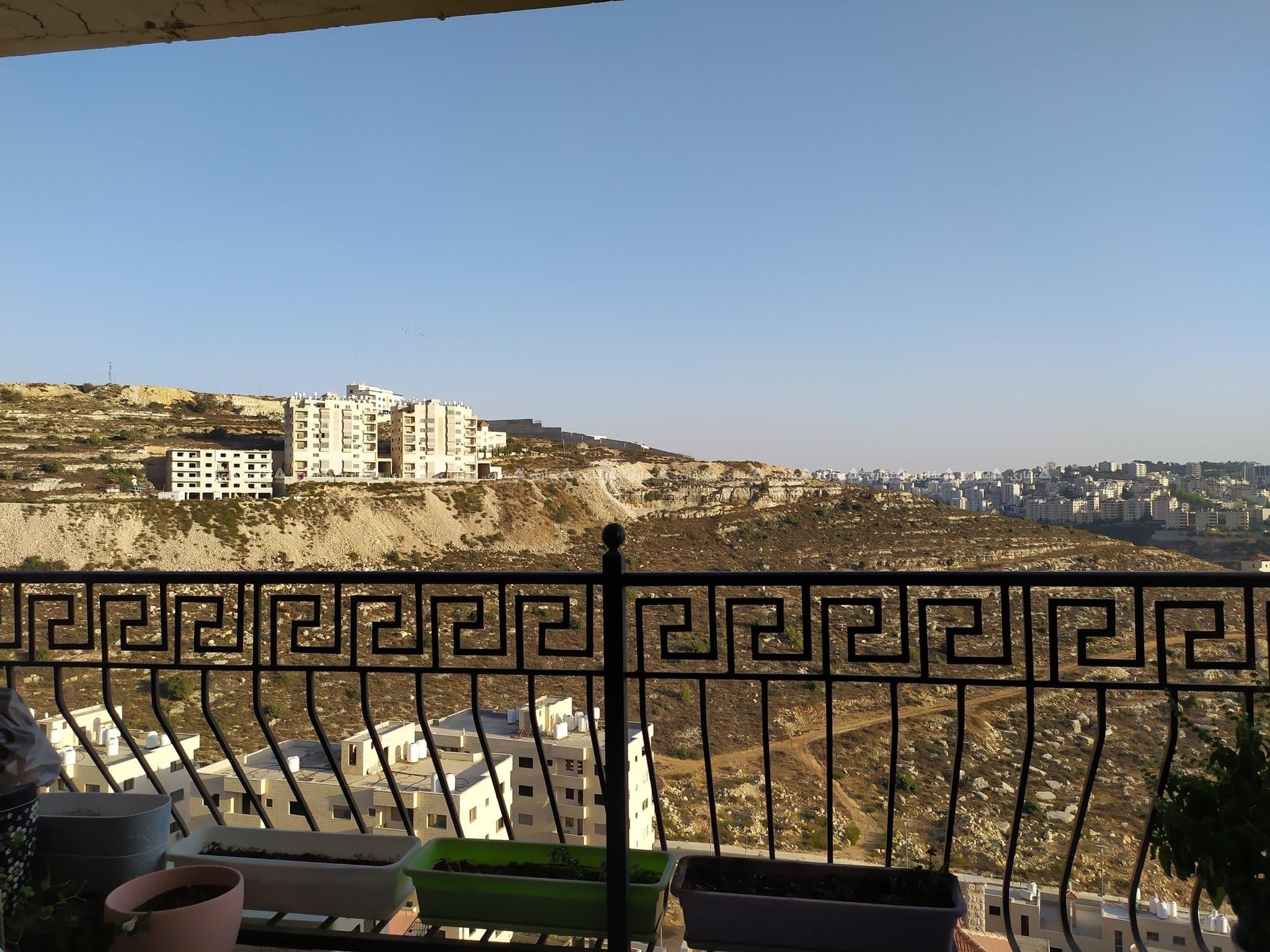 شفة جاهزة للبيع بإطلالة المميزة
