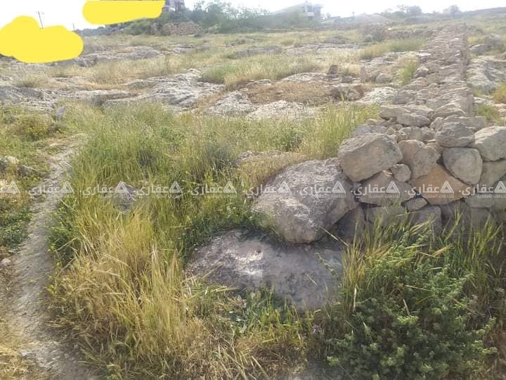 دونم أرض طابو في محيط معبر مزموريا