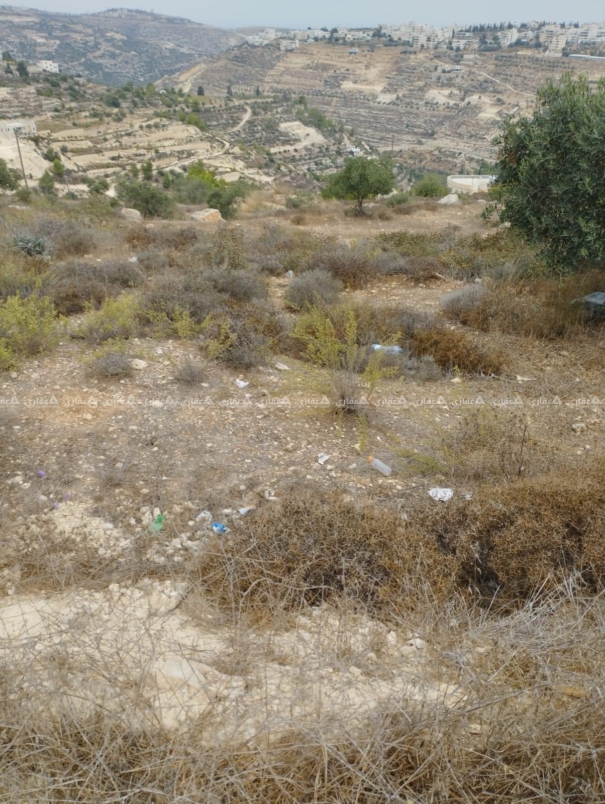 قطعة أرض للبيع