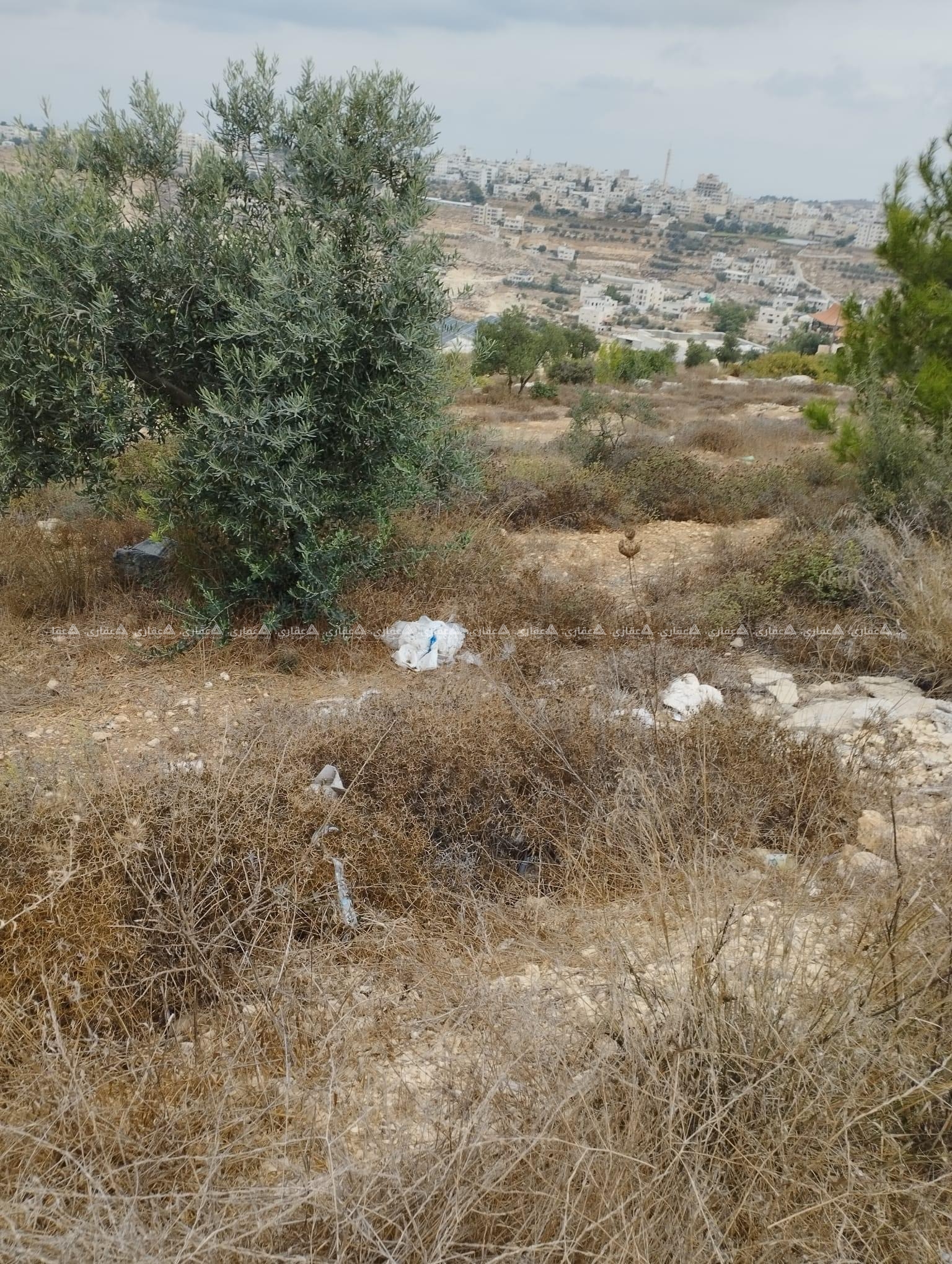 قطعة أرض للبيع