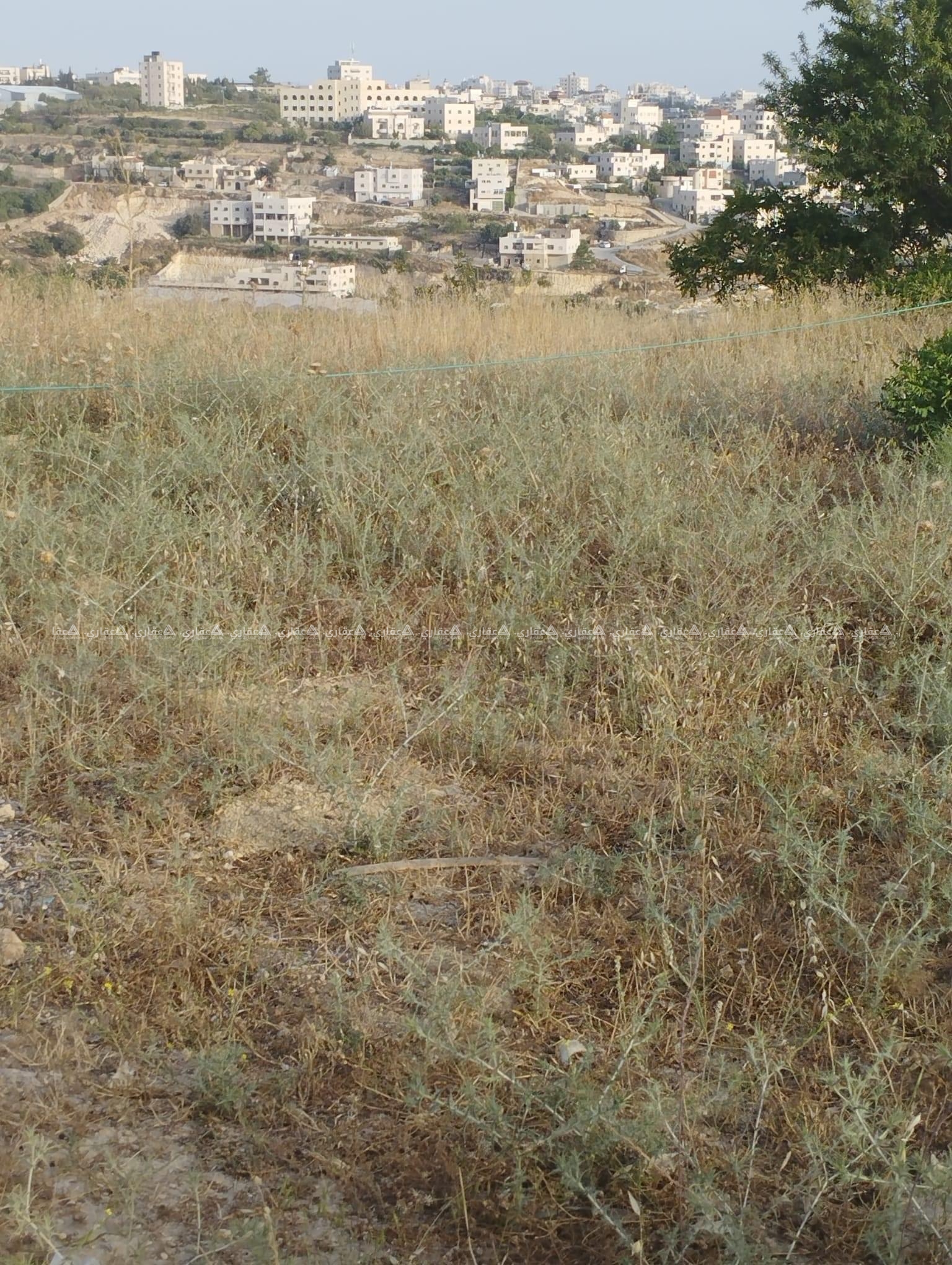 قطعة أرض للبيع بالقرب من صالة أوليفيا