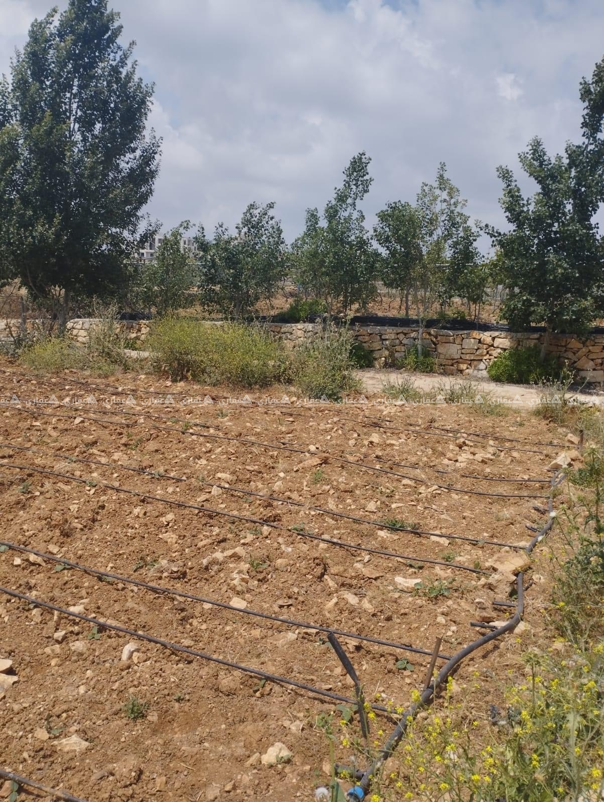 قطعة أرض مميزة جداً للبيع