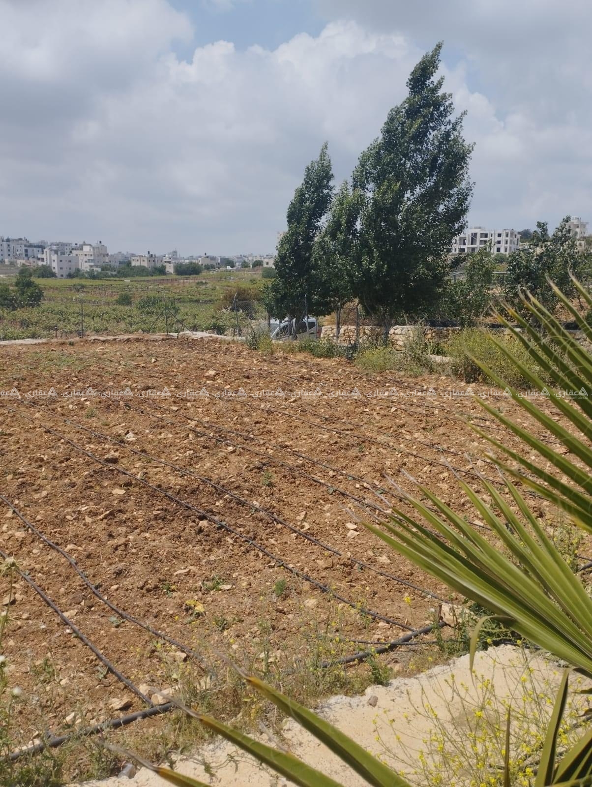 قطعة أرض مميزة جداً للبيع